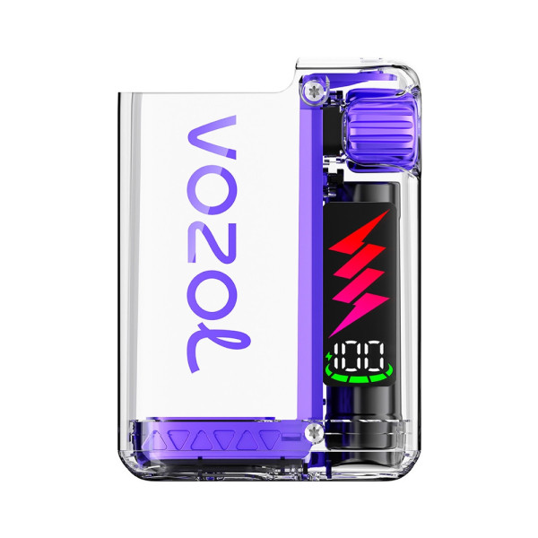 Vozol Vista Plug Device - Farbe: Violet